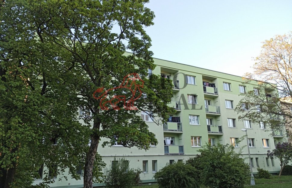1 jaro.jpg