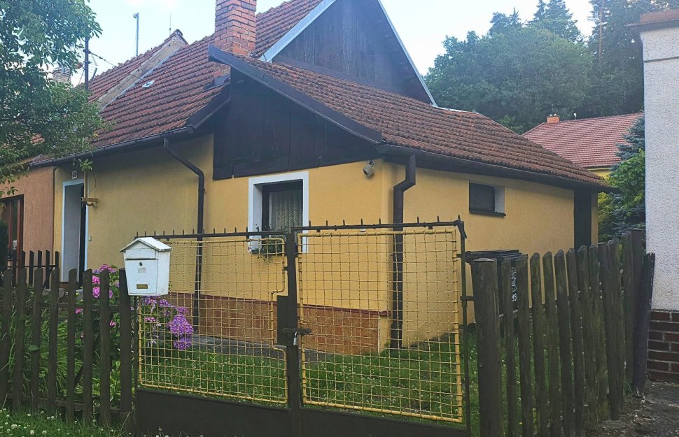 úvodní fotka.jpg